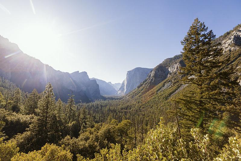 Open sky and sun in sky over valley of Yosemite